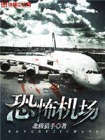 恐怖机场纵横中文网封面